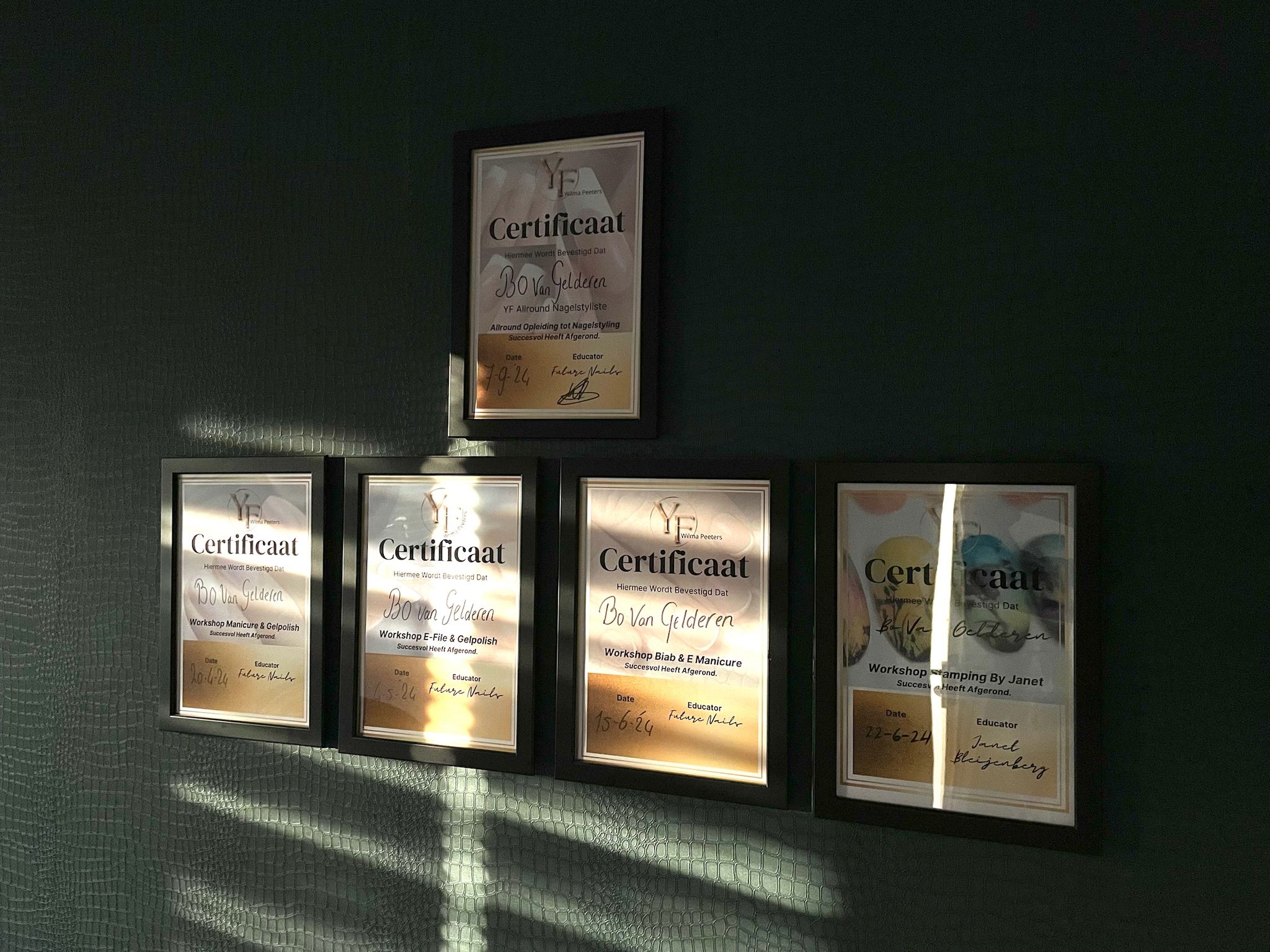 Certificaten en diploma's van Bo van Gelderen